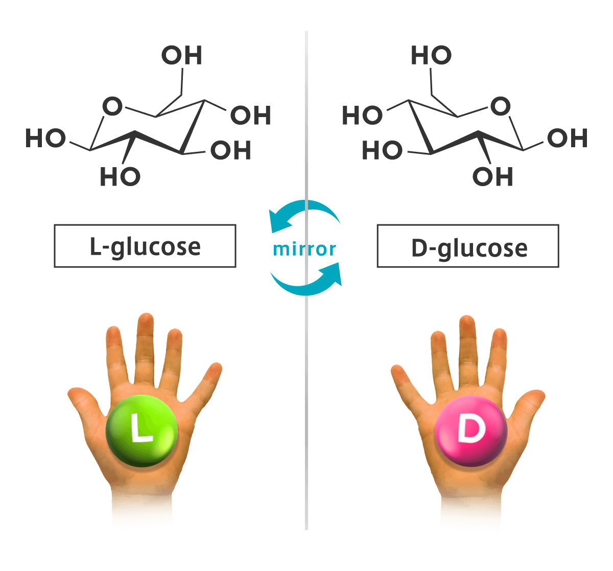 Mirror-image isomer